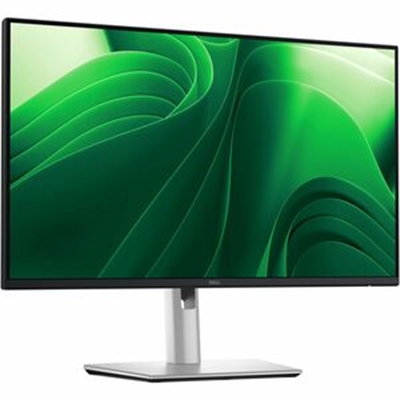 Dell Pro 24 Pls Monitor P2425D
