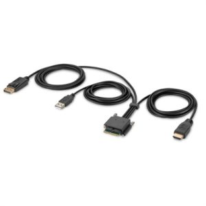 HDMI and DP Dual Head Host Cbl