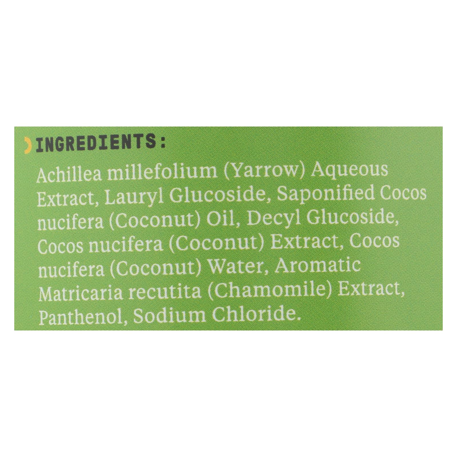 Alaffia - Everyday Shampoo and Body Wash - Coconut Chamomile - 16 fl oz. - Image 2