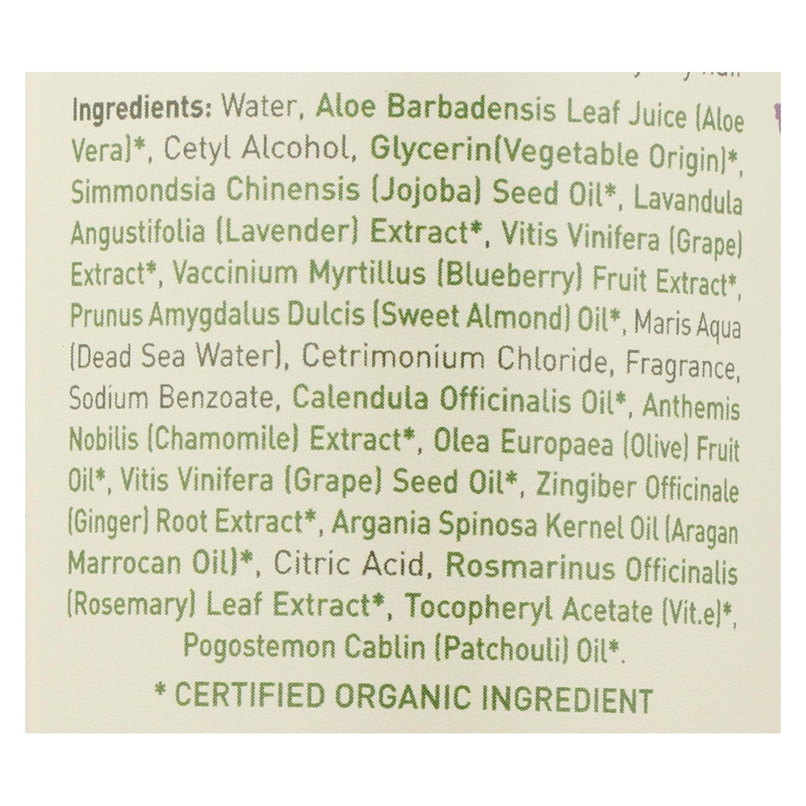 Ecolove Conditioner - Purple Fruit Conditioner For Colored and Very Dry Hair - Case of 1 - 17.6 fl oz. - Image 2