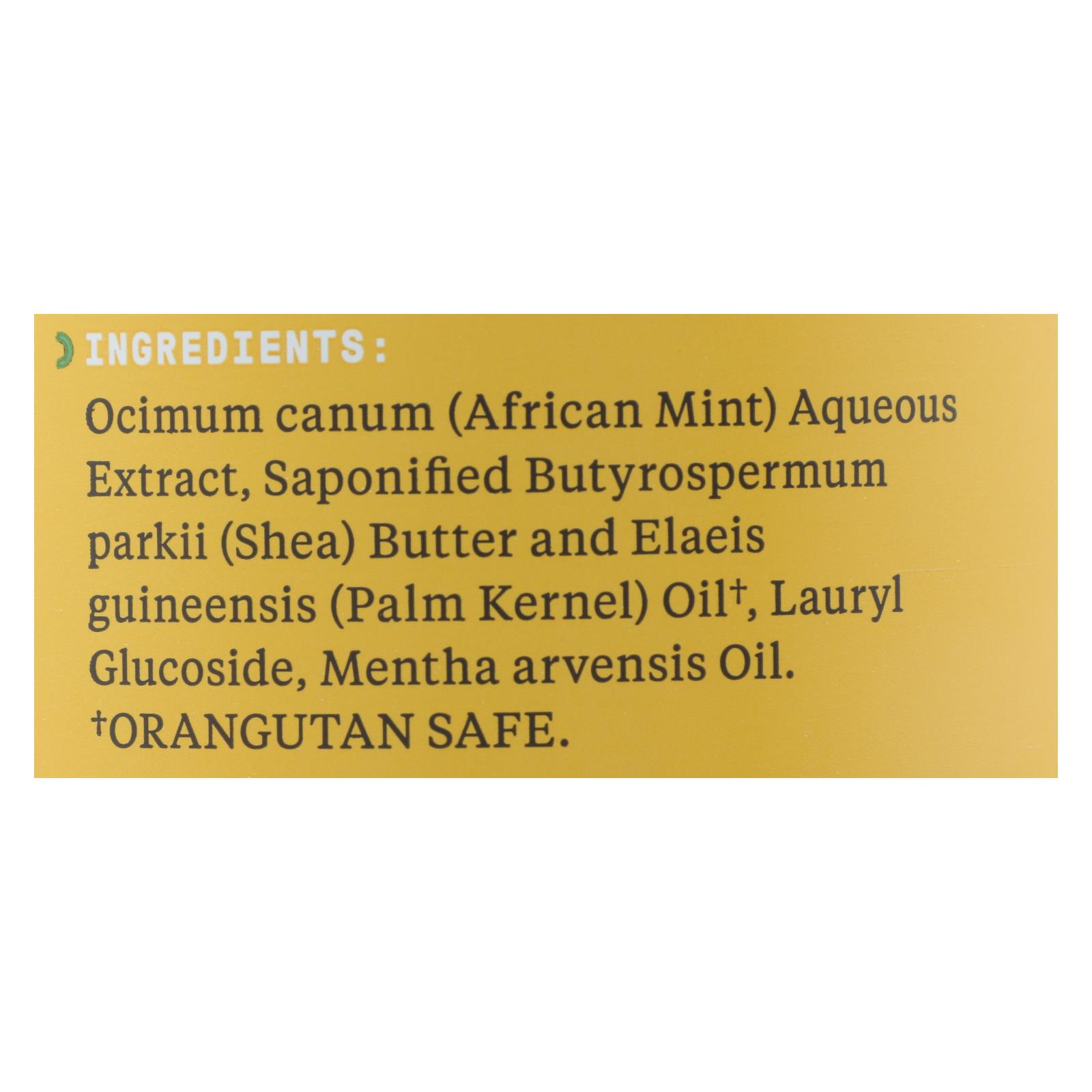 Alaffia - African Black Soap - Peppermint - 32 fl oz. - Image 2