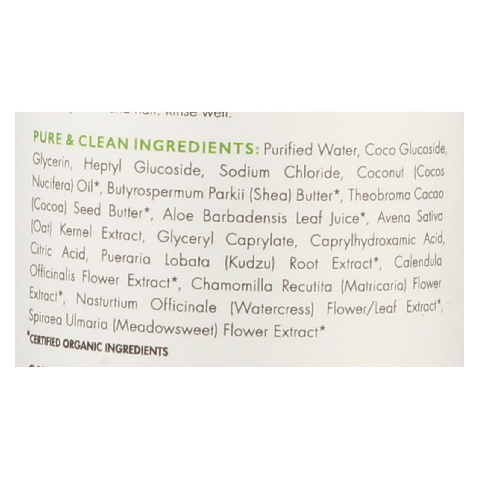 Babo Botanicals - Foaming Body Wash - Fragrance Free - 1 Each - 9 fl oz. - Image 2