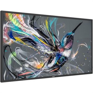 50" Q Line Prosumer Droid OS