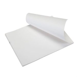 Perforated Fanfold LetterSize