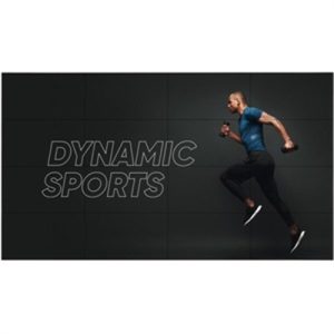 2x2 49VL5PJ w Peerless Mount