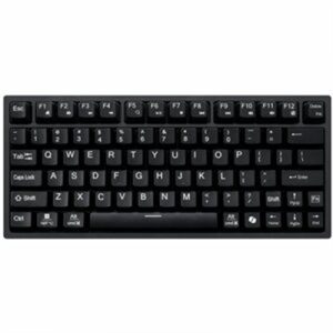 Mechanical Keyboard w/CoPilot