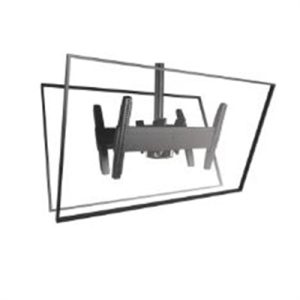 CEILING MOUNT B2B LG