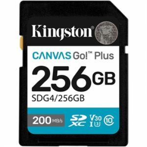 Kingston SD Card