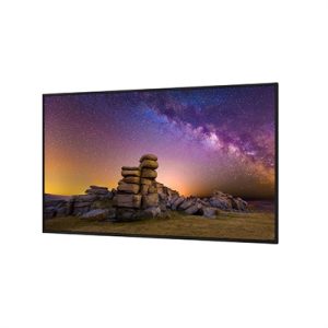 55" UHD Professional Display