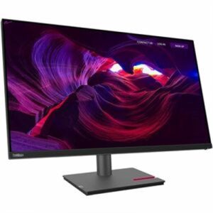 TS P32p30 31.5" Monitor HDMI