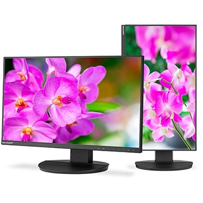 24" DD EA241F Desktop Monitor