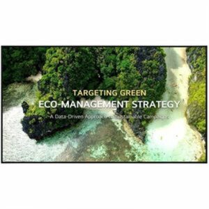 65" 4k 3840x2160 Monitor