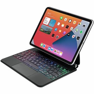 iPad Pro 11" 2024 Case/Kybd