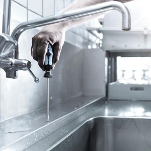 Wera Stainless Steel Screwdriver: TORX TX #30 x 150mm