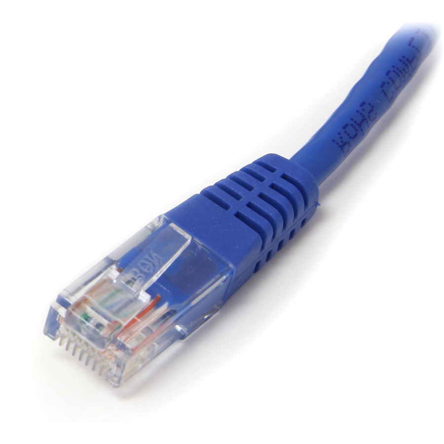 StarTech.com 35 ft Blue Molded Cat5e UTP Patch Cable - Image 2
