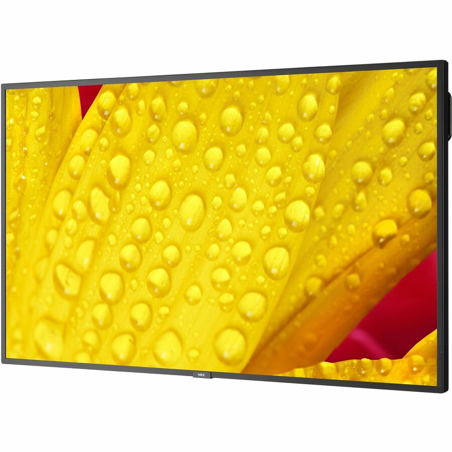 Sharp 43" Ultra High Definition Professional Display