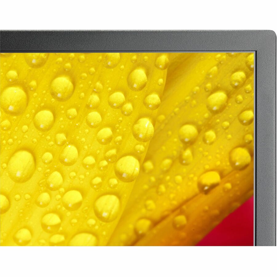 Sharp 43" Ultra High Definition Professional Display - Image 9