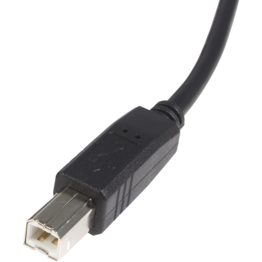 StarTech.com High Speed Certified USB 2.0 - USB cable - 4 pin USB Type A (M) - 4 pin USB Type B (M) - 3 m ( USB / Hi-Speed USB ) - Image 2