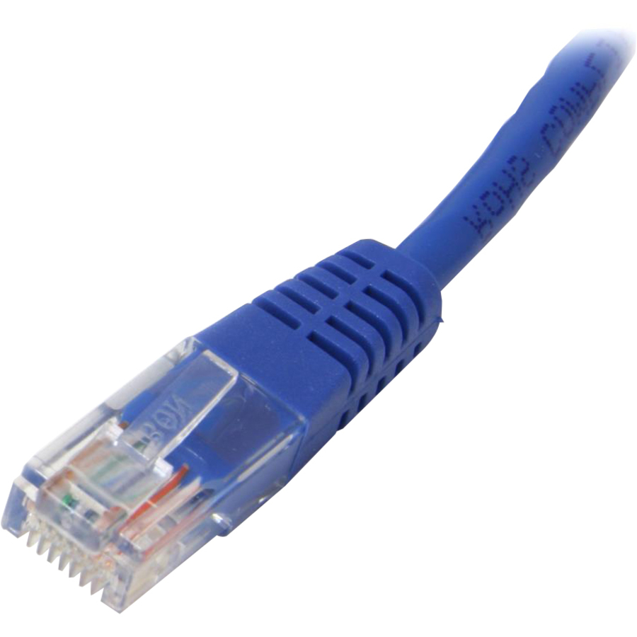 StarTech.com 50ft Blue Molded Cat5e UTP Patch Cable - Image 2