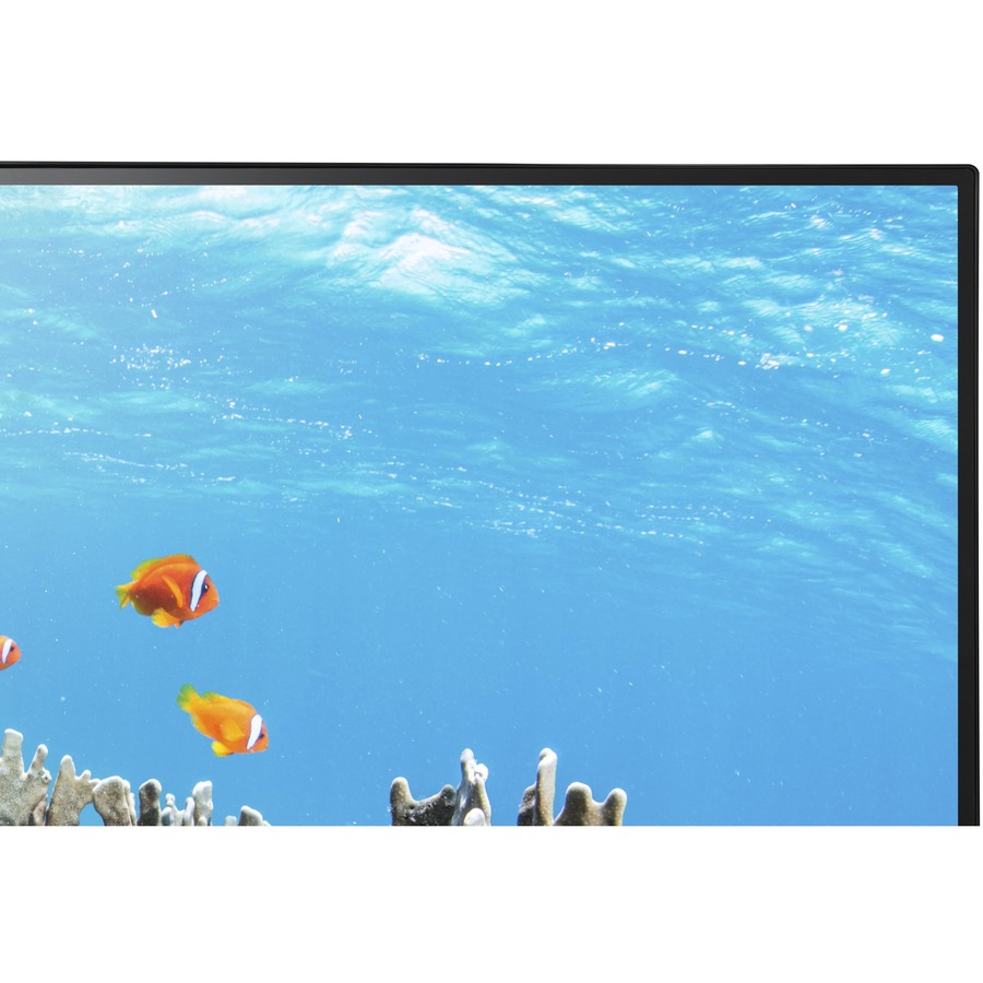 NEC Display MultiSync EA242WU-BK 24" Class WUXGA LCD Monitor - 16:10 - Black - Image 3